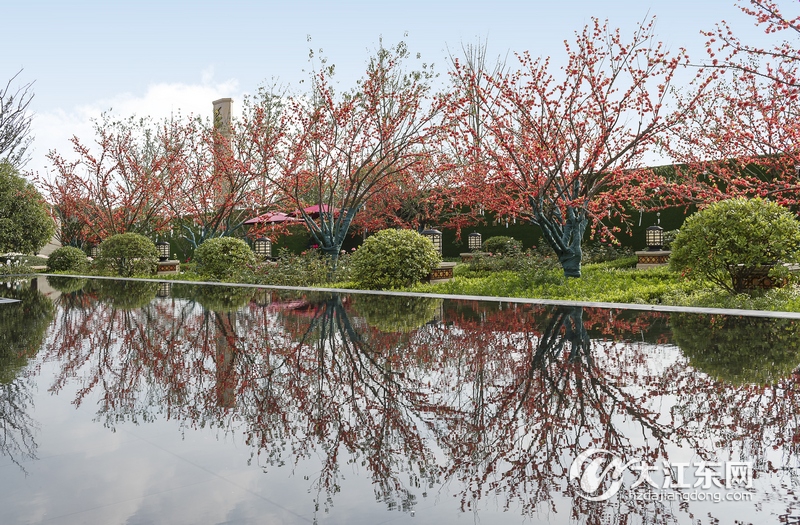 物华天宝，文心雕龙——大江东宝龙广场景观文化体验区