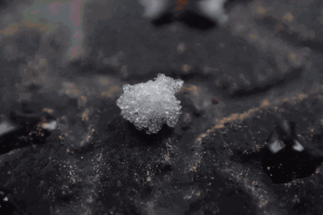 杭州下了场佛性的雪!真相笑喷,请当个见过世面的南方人