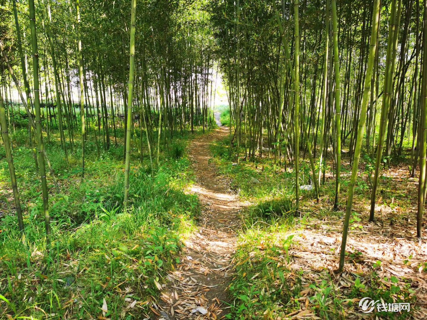 氛围感拉满~钱塘这些游玩好去处，值得一去